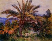 克劳德莫奈 - A Palm Tree at Bordighera